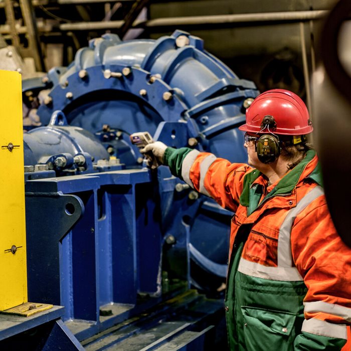 Inspection and inventory services.