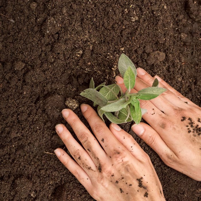 Verdades sobre remineralização