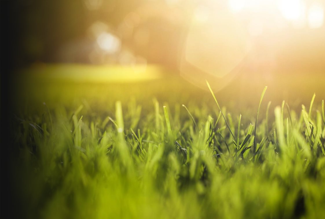 SUSTAINABLE OPERATIONS