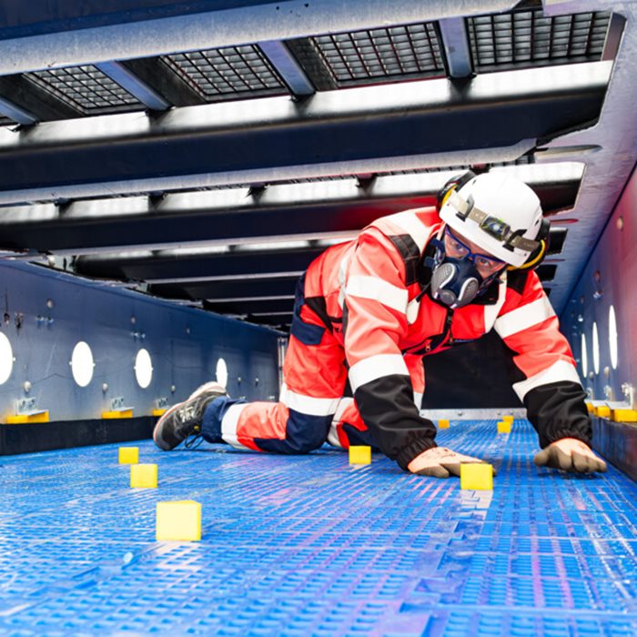 Checks to be performed by professionals