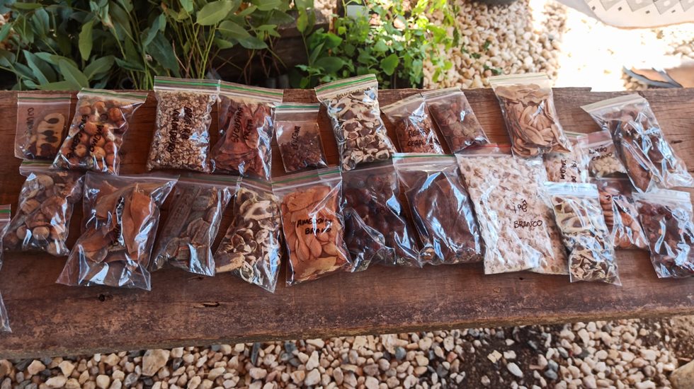 Curso de Agrofloresta Anglo American e Metso Outotec