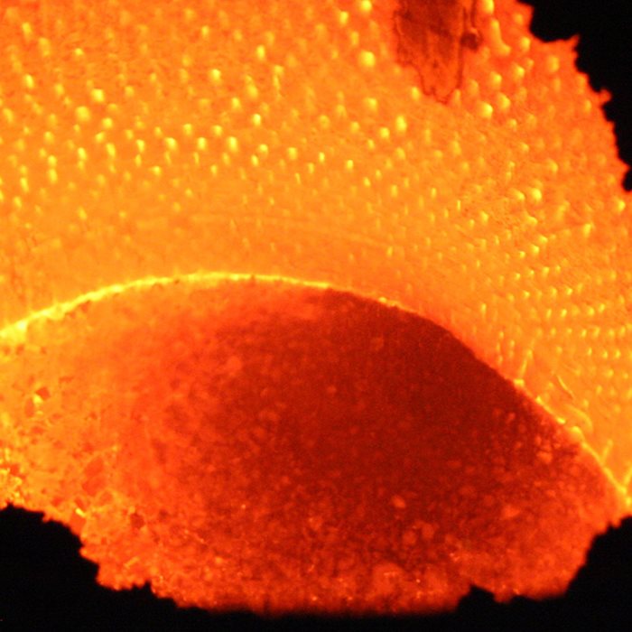 Ausmelt® TSL Furnace