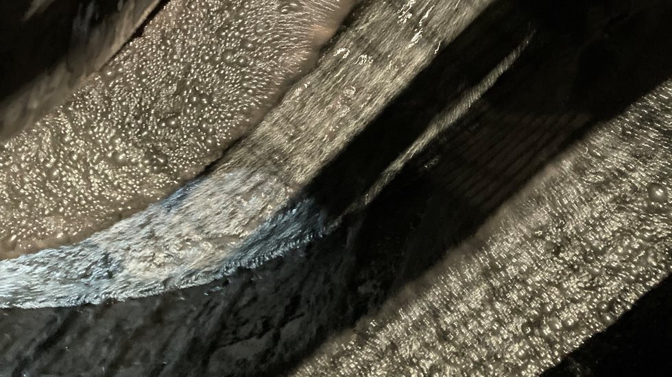 Froth area of one of the float cells used for test work