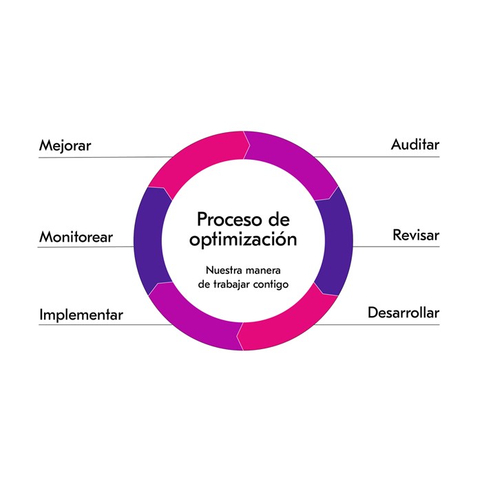 Proceso de optimización