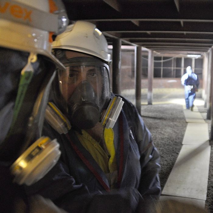 Servicios para catalizadores 