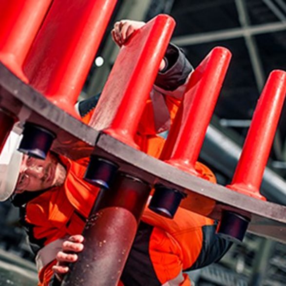 Nuestro extenso portafolio