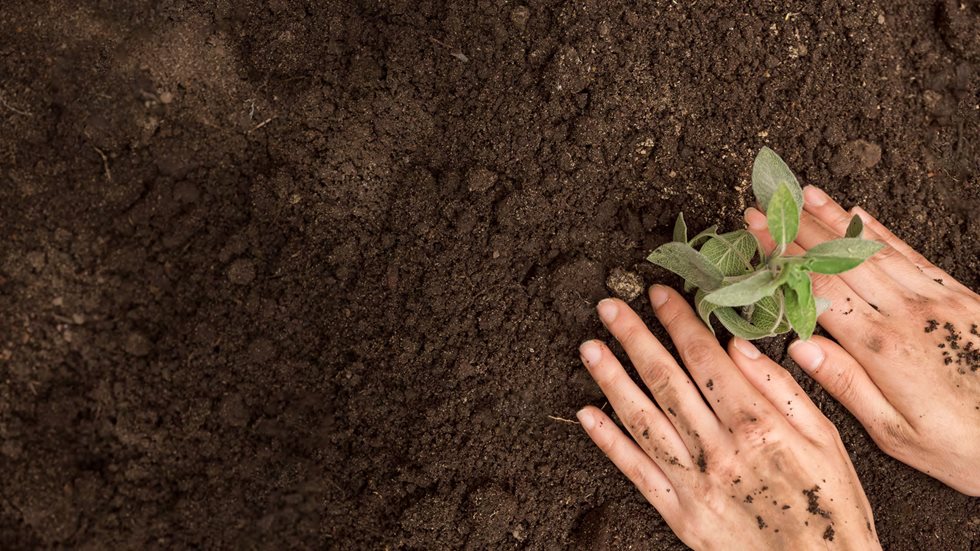 Verdades sobre produção de remineralizadores