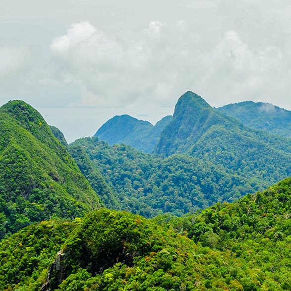 Limiting carbon emissions in supply chain