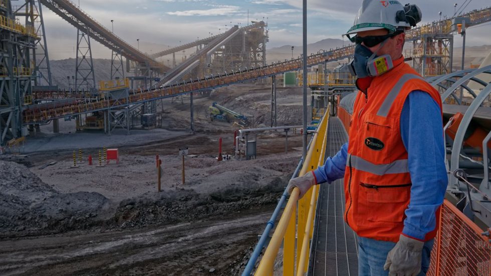 Our employee analyzes a plant