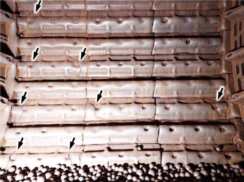 Figura 3 - Revestimentos Trincados