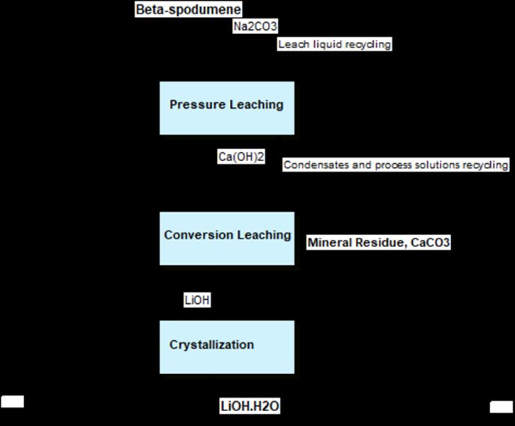Direct Leach Process 