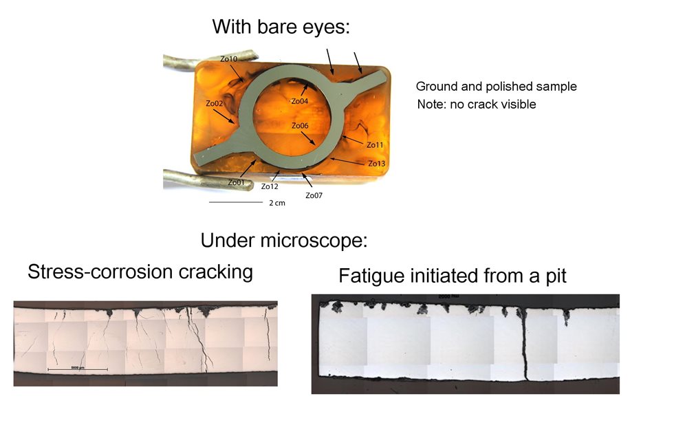 Cross-sectional sample