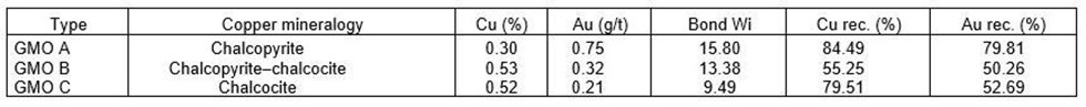 Geometallurgical ore types (GMO) and main characteristics