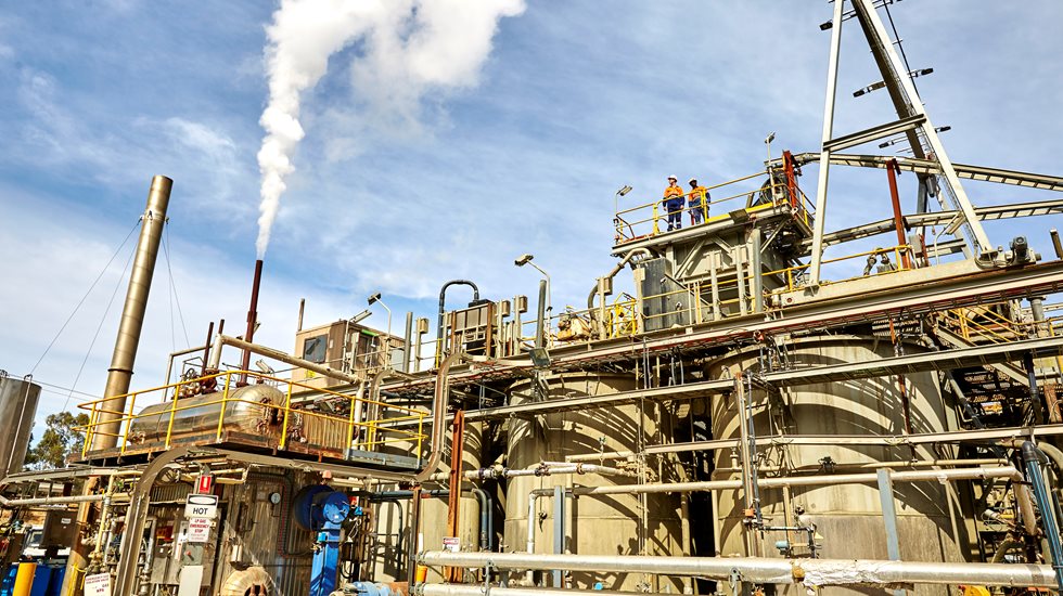 fosterville gold mine