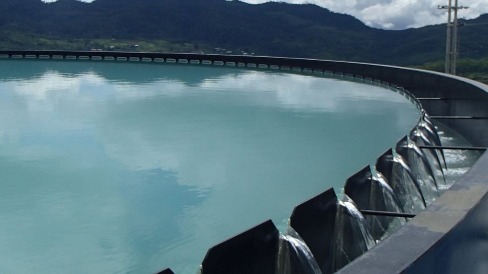 A thicvkener pictured outside. 