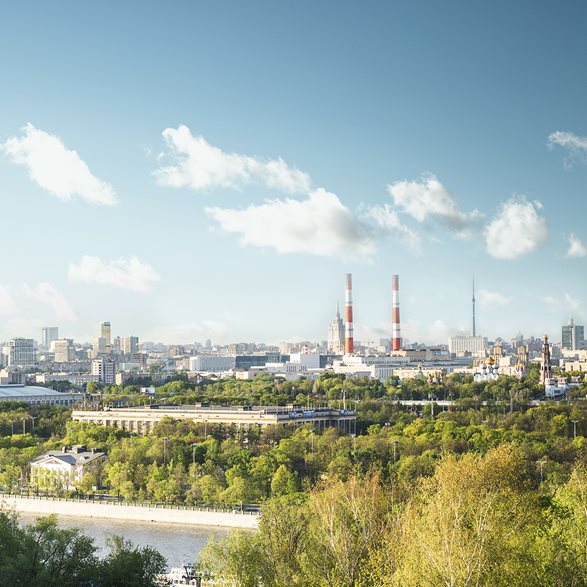 En camino a Carbono neutral