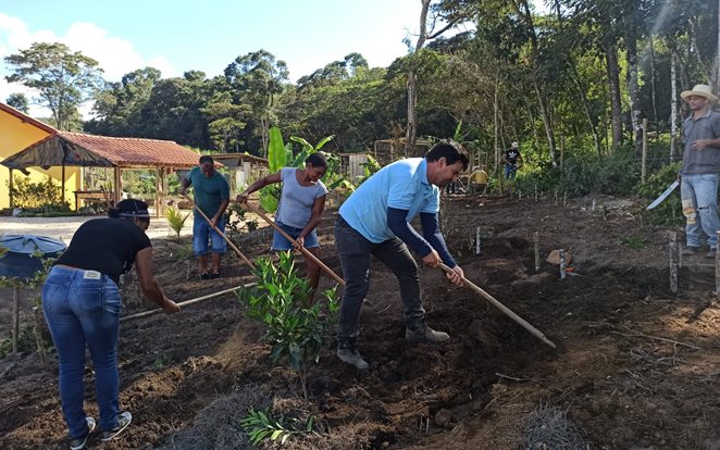 Curso de agrofloresta